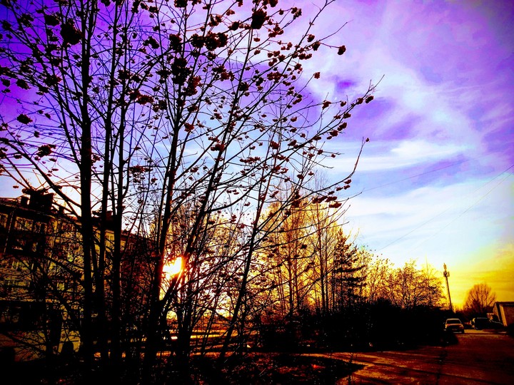 autumn colors