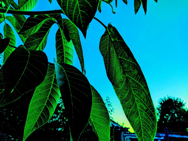 green and blue