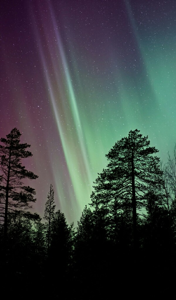 beautiful lights