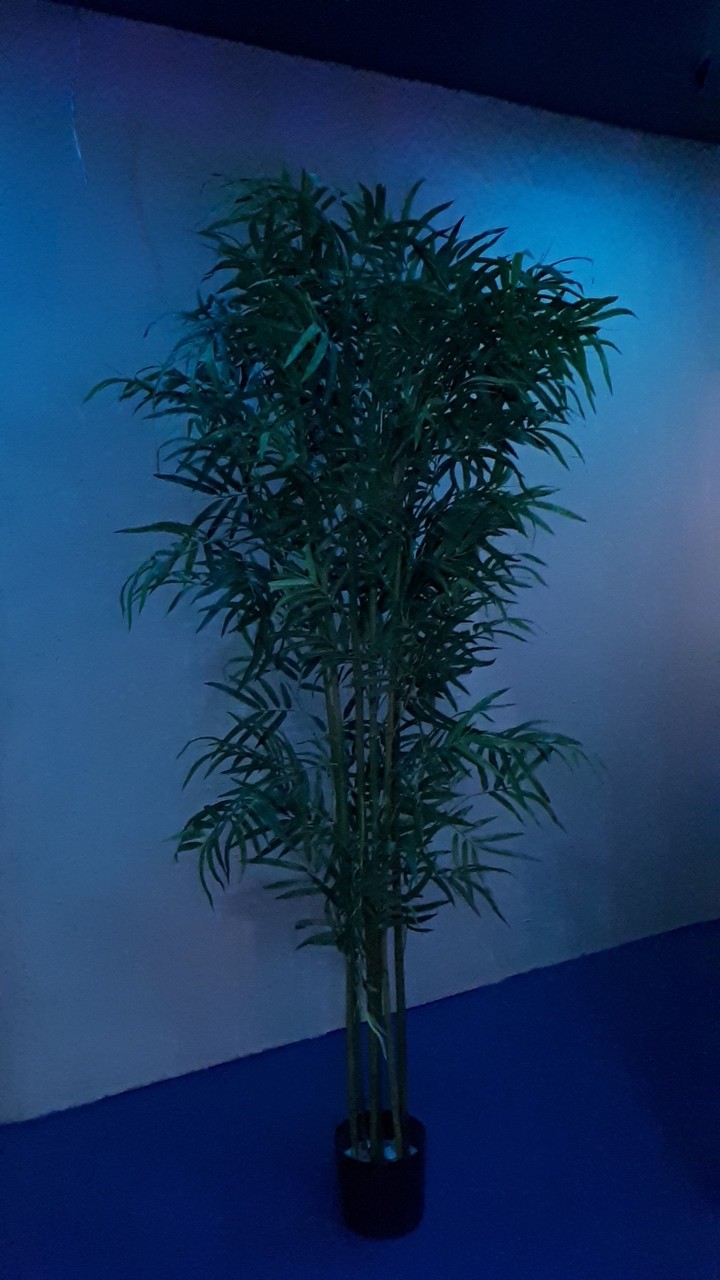 Awesome