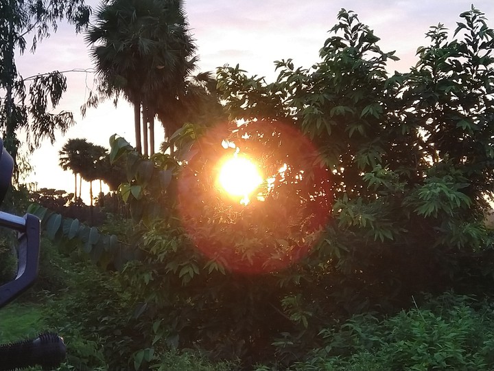 sunset
