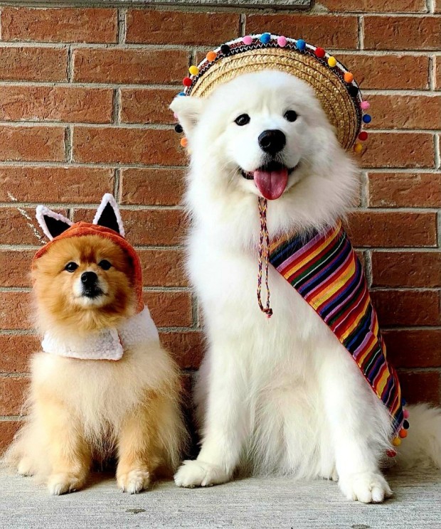 cute friends