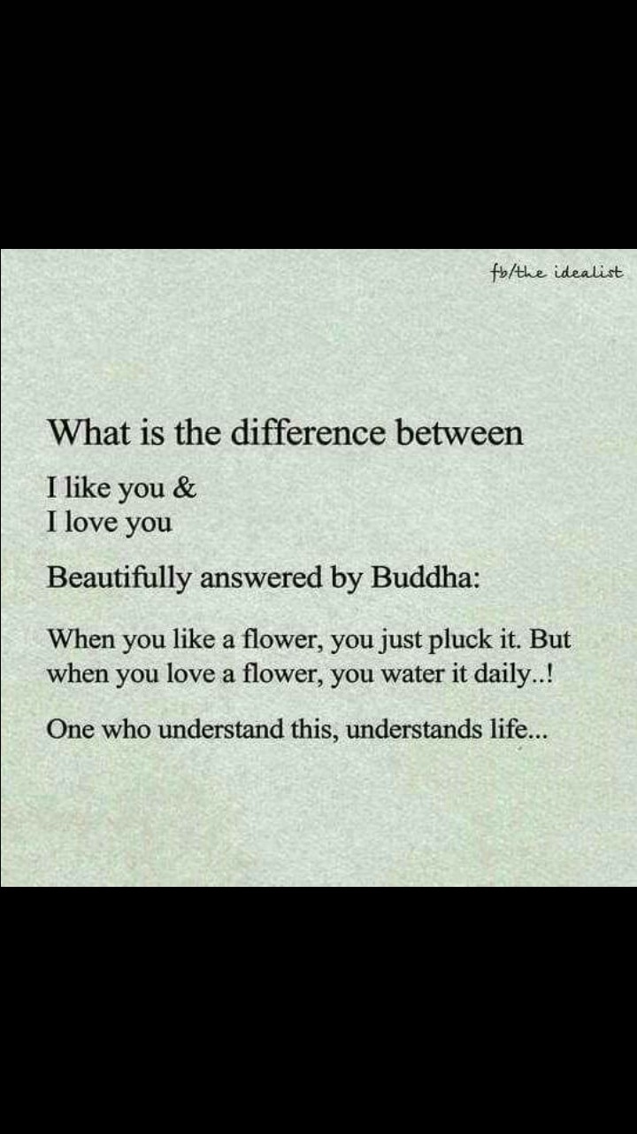like and love