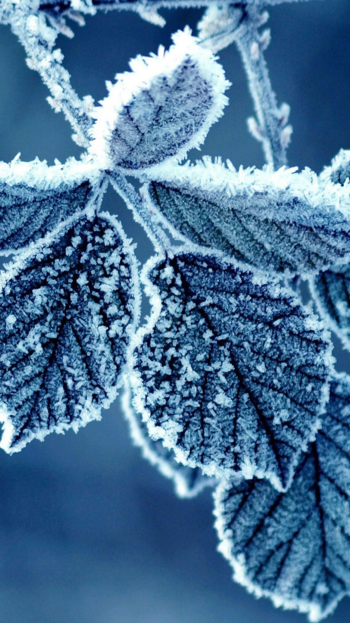 winter