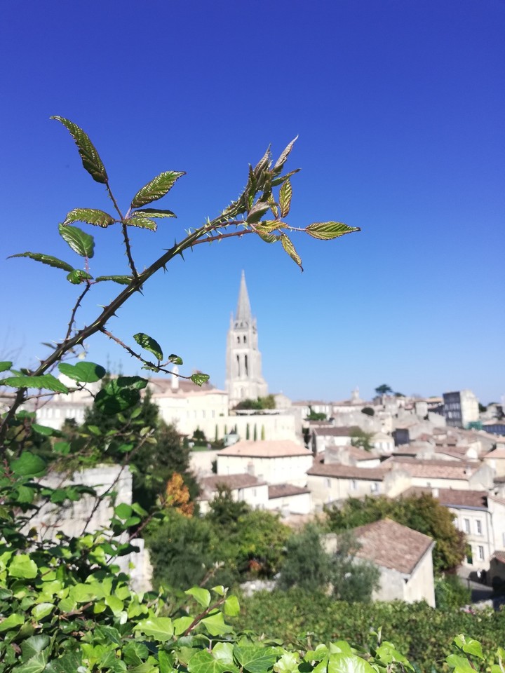 St. Emilion