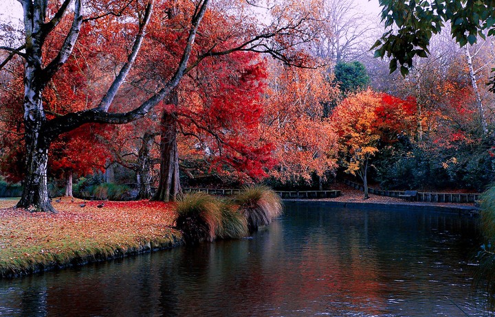 lake forest