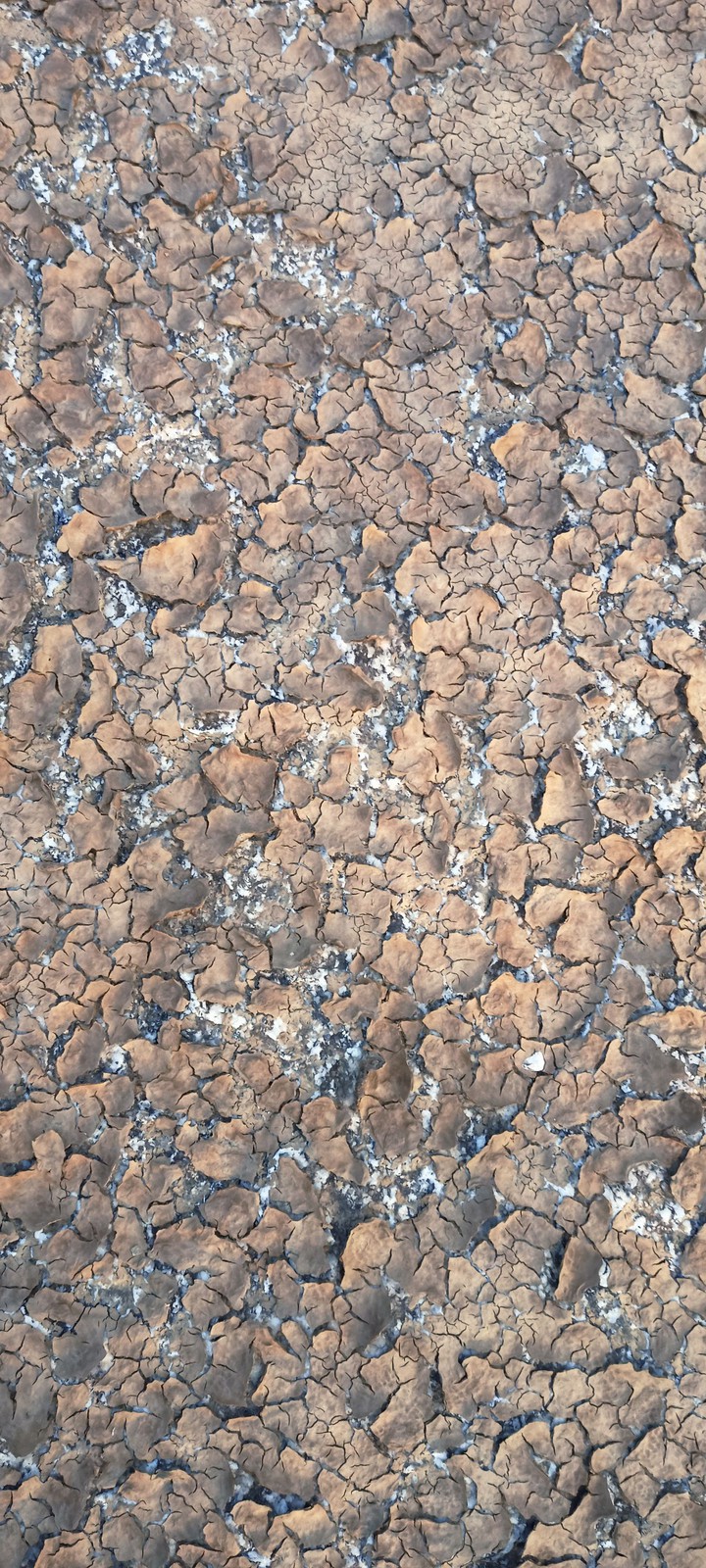 Dry Soil