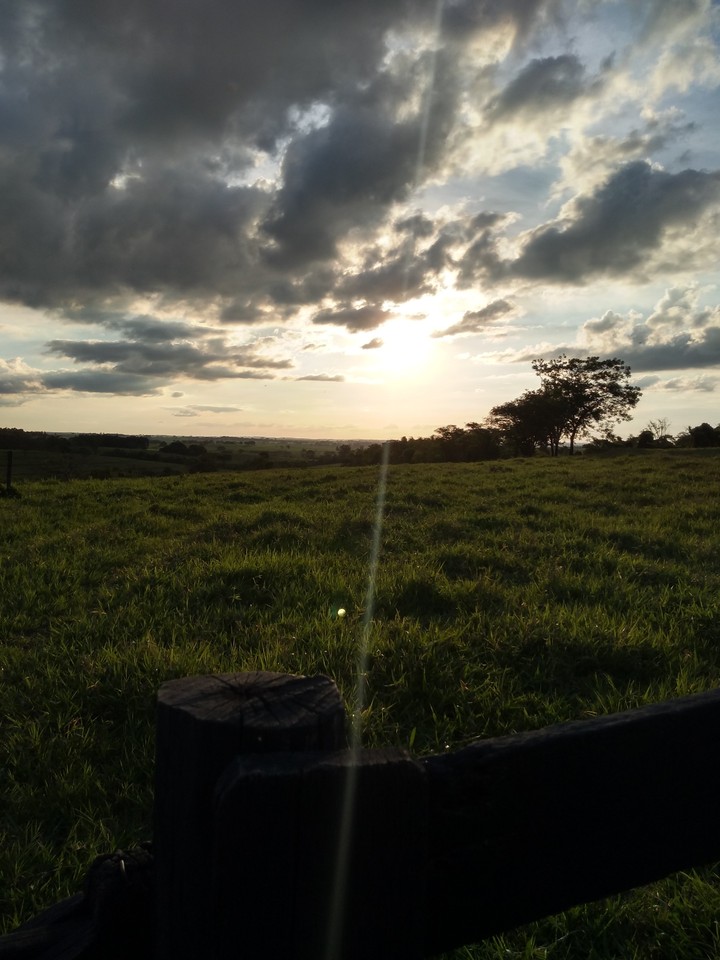 Horizonte