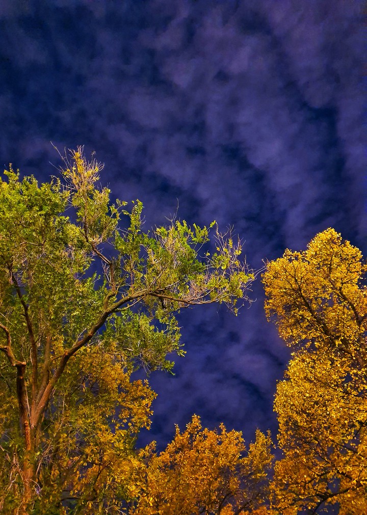 The autumn sky