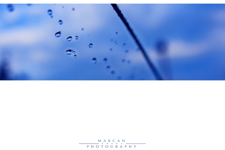 Raindrops