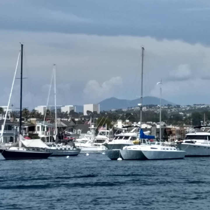 Sailboats