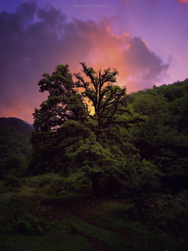 sunrise