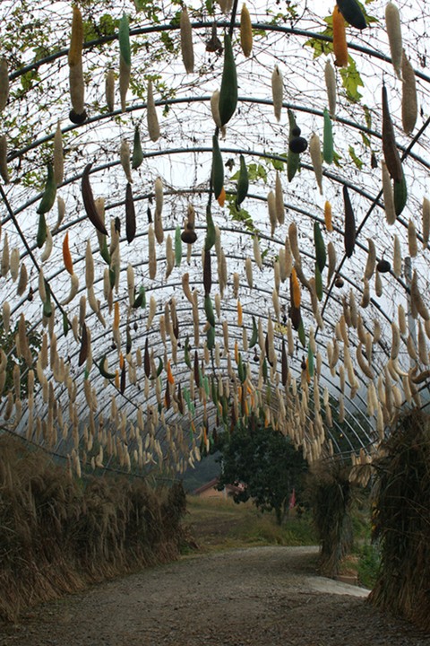 Village