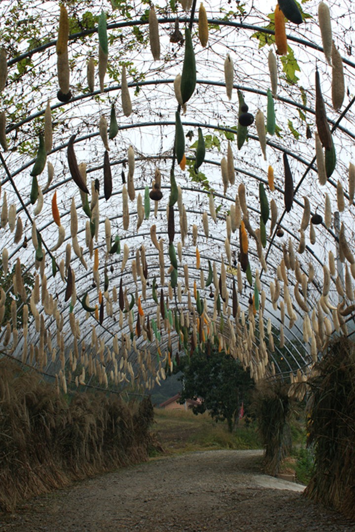 Village