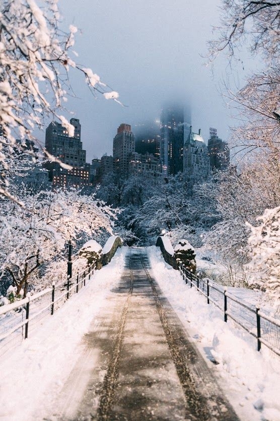 Central Park NY