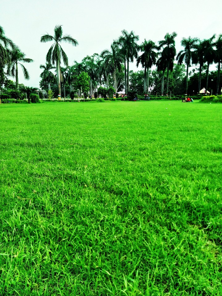 green park Nature
