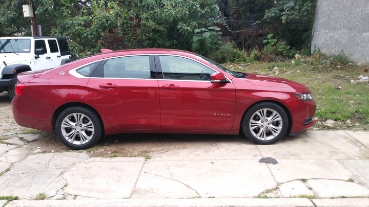 impala