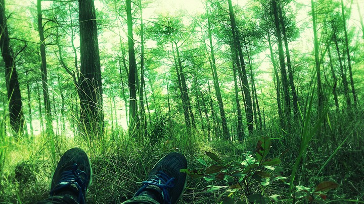 green