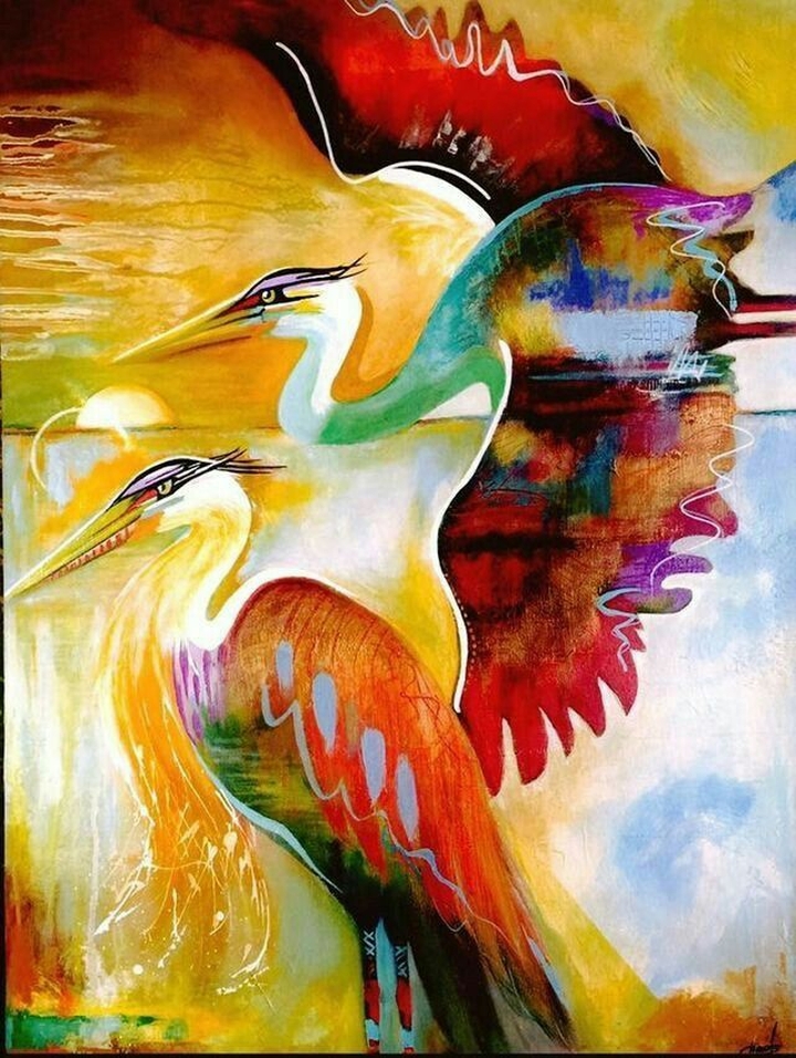 Bird, Vertebrate, Ducks