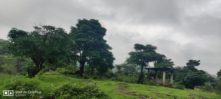 Green Nature