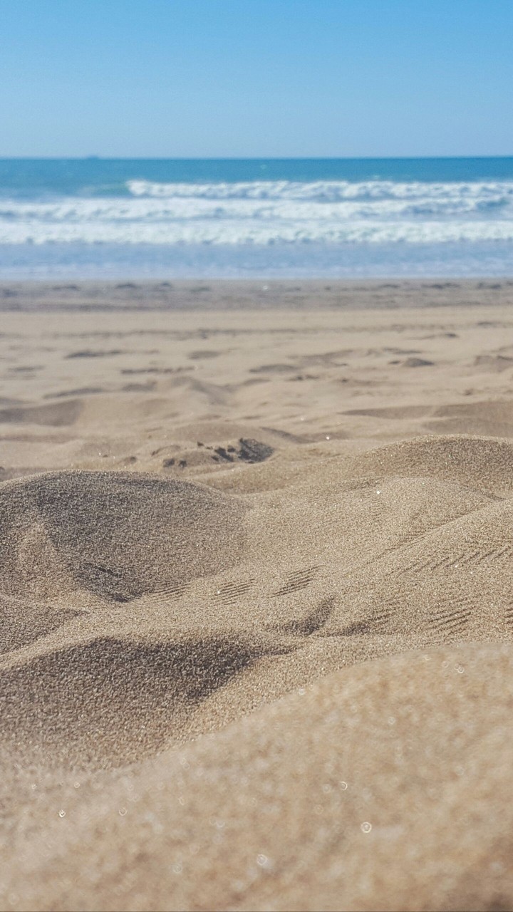 the beach