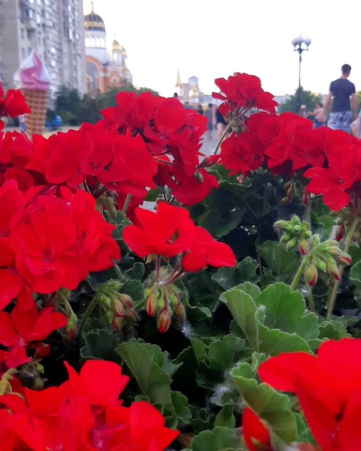 Beautyful places in Kyiv