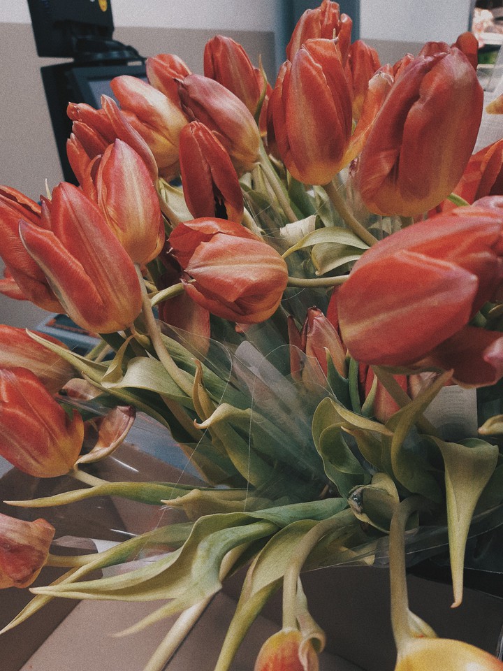 flower