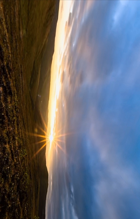 sun