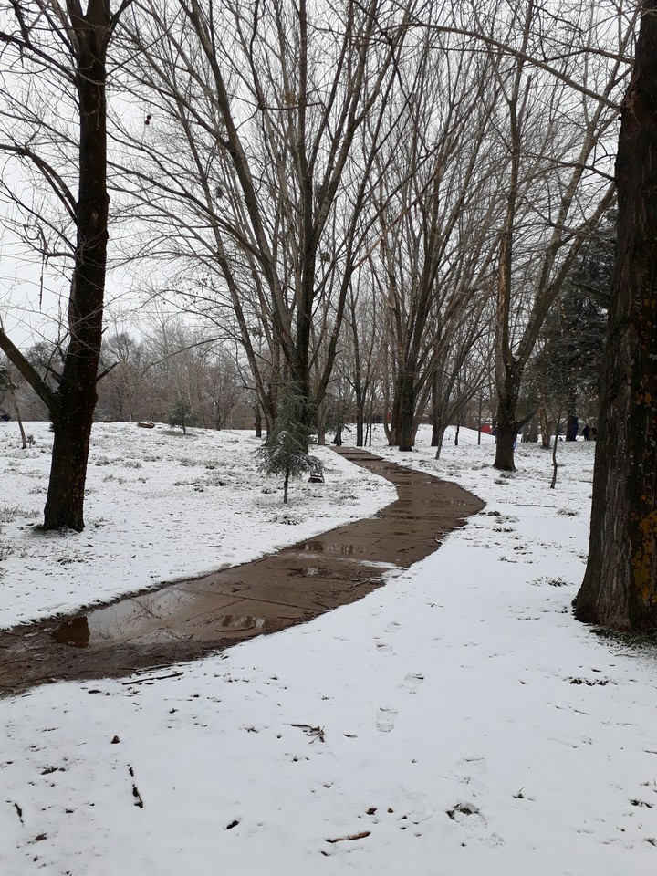 snow
