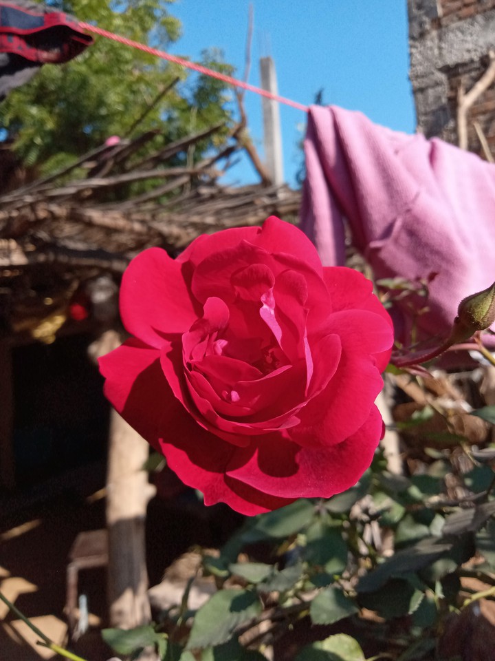 #beautyful