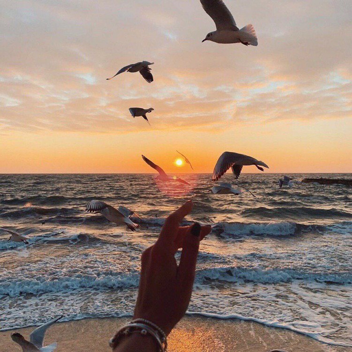 dream