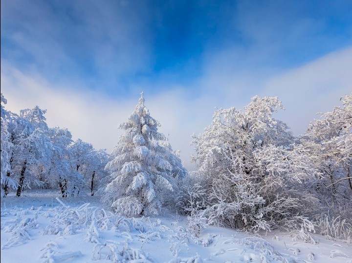 Winter