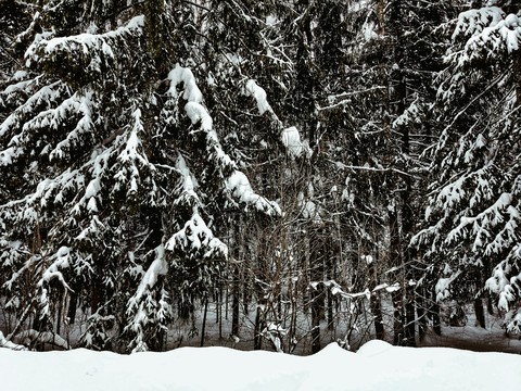 Winter in Russia