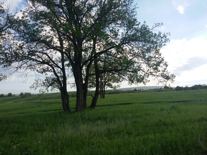 One Morning In Summer