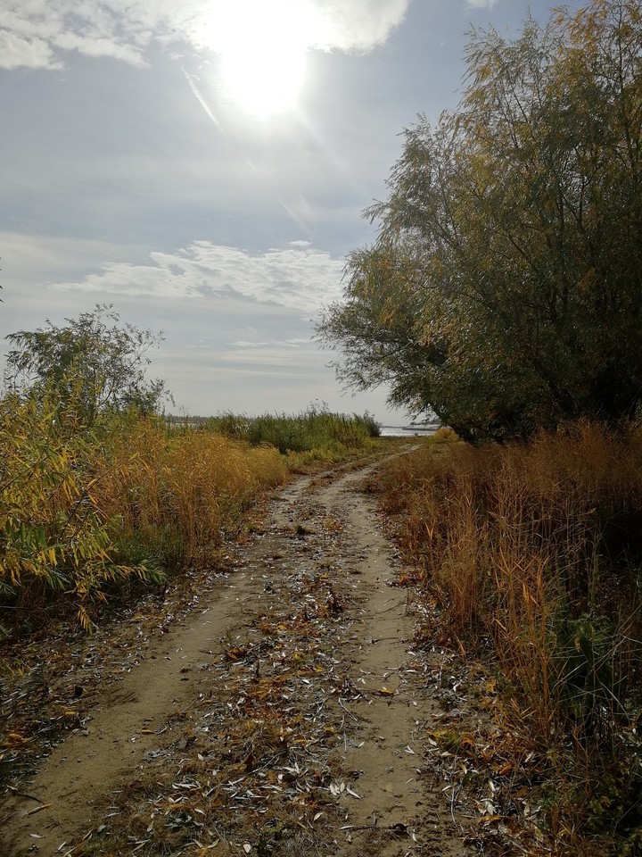осень