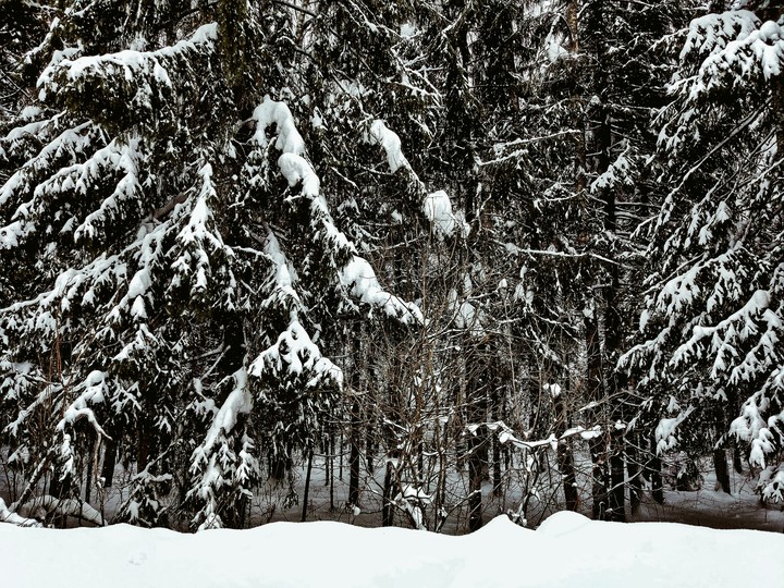 Winter in Russia