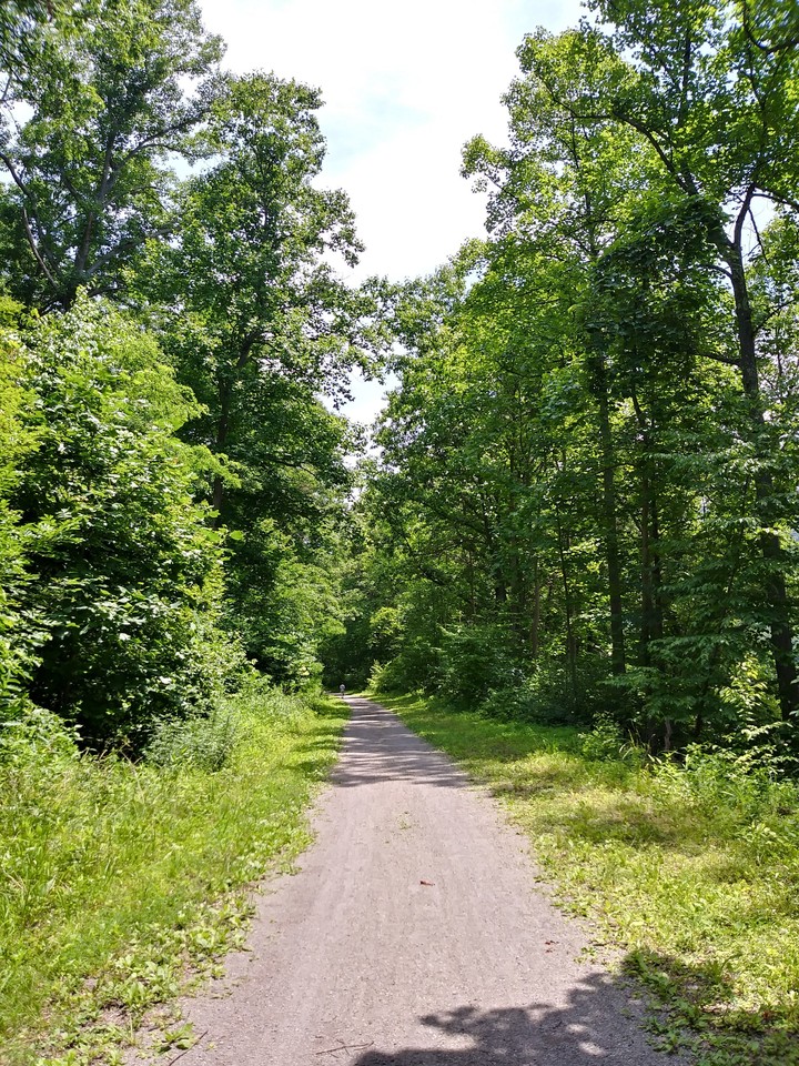 Trails