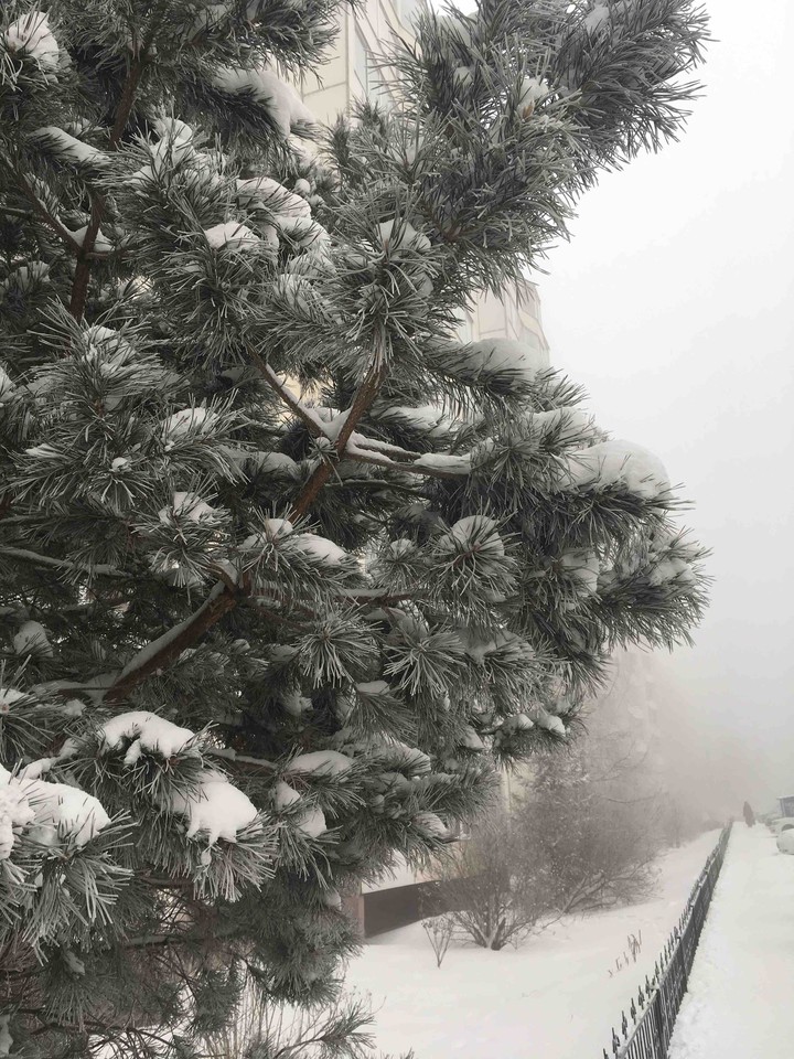 snow winter