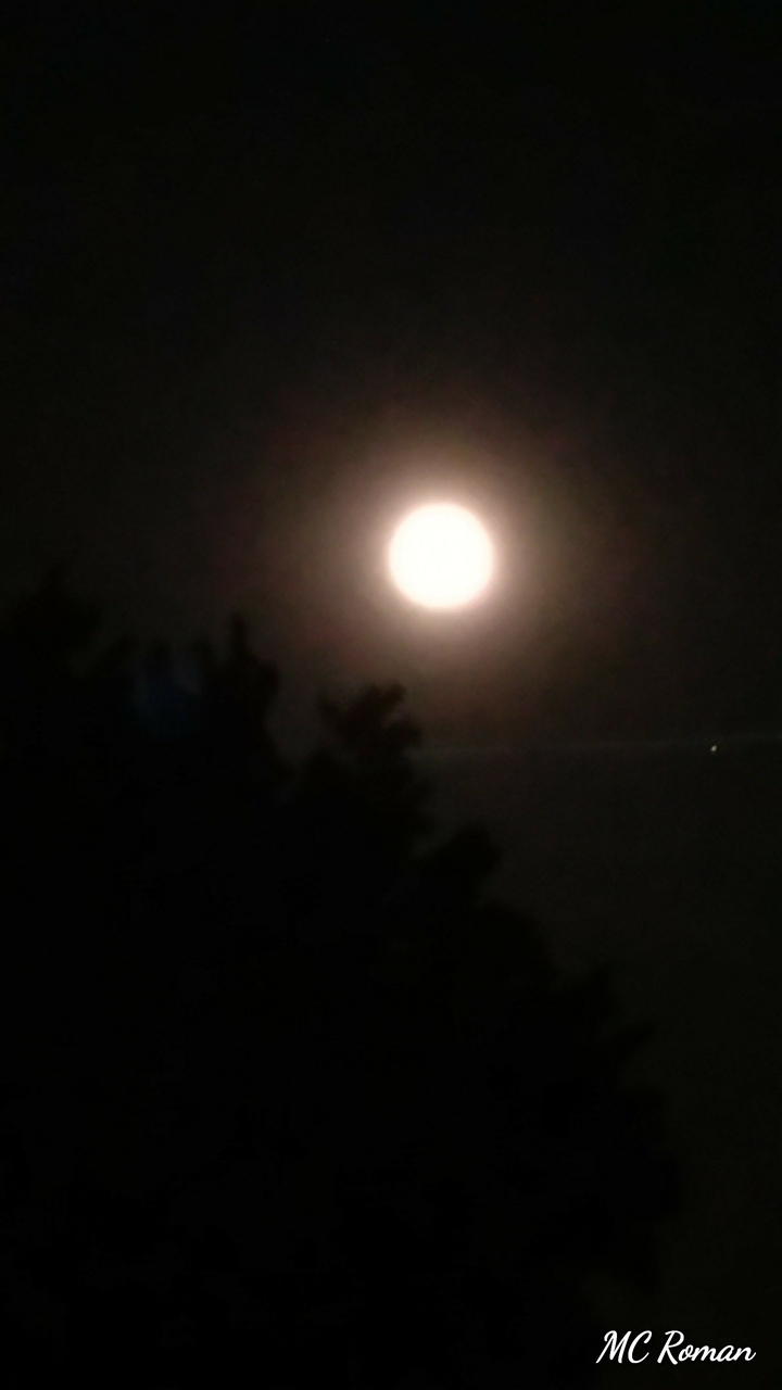 Mystic moon