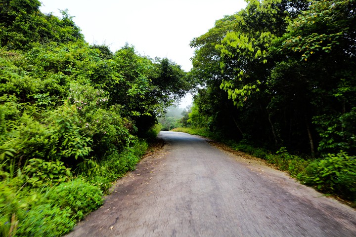 road to peaceful