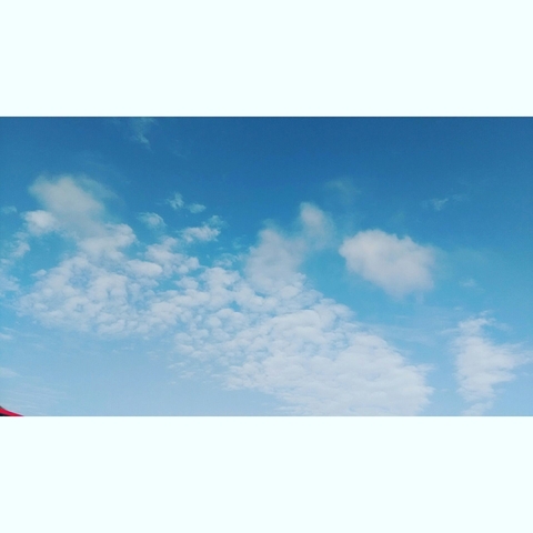 skyy