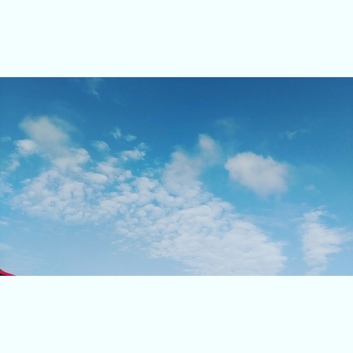 skyy