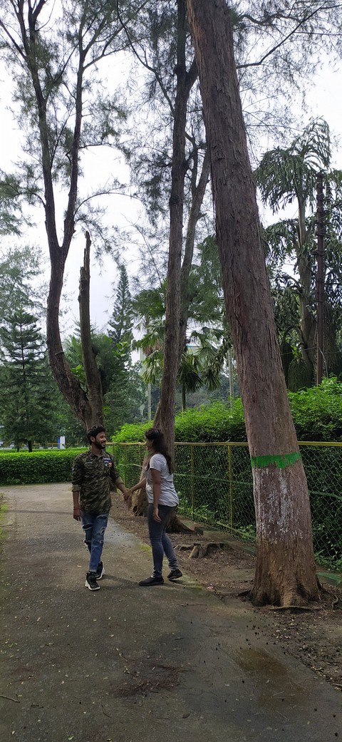 Love in the woods