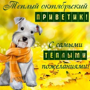 пусть у тебя все будет хорошо...