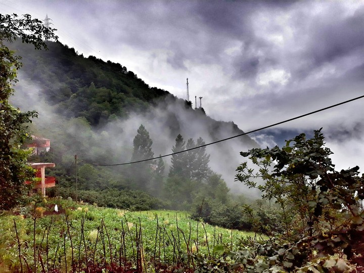 karadeniz