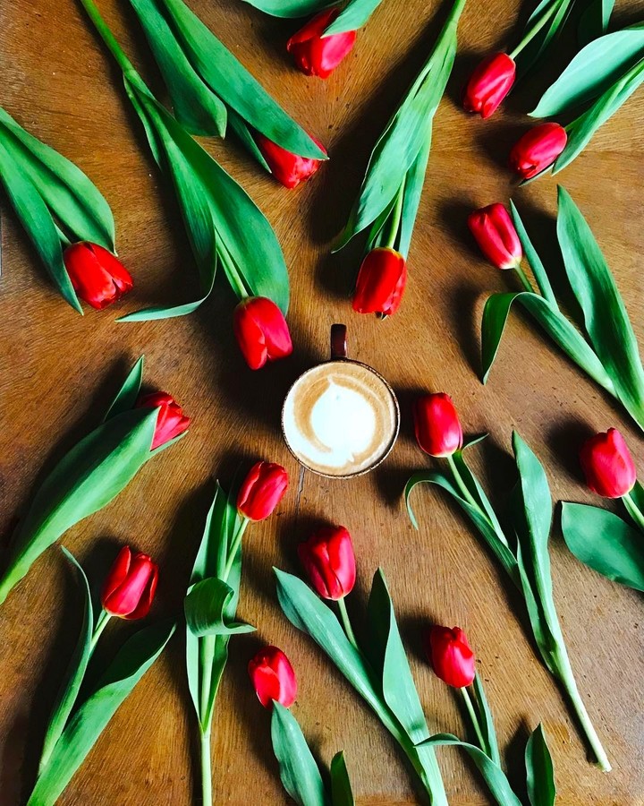 tulip&coffee