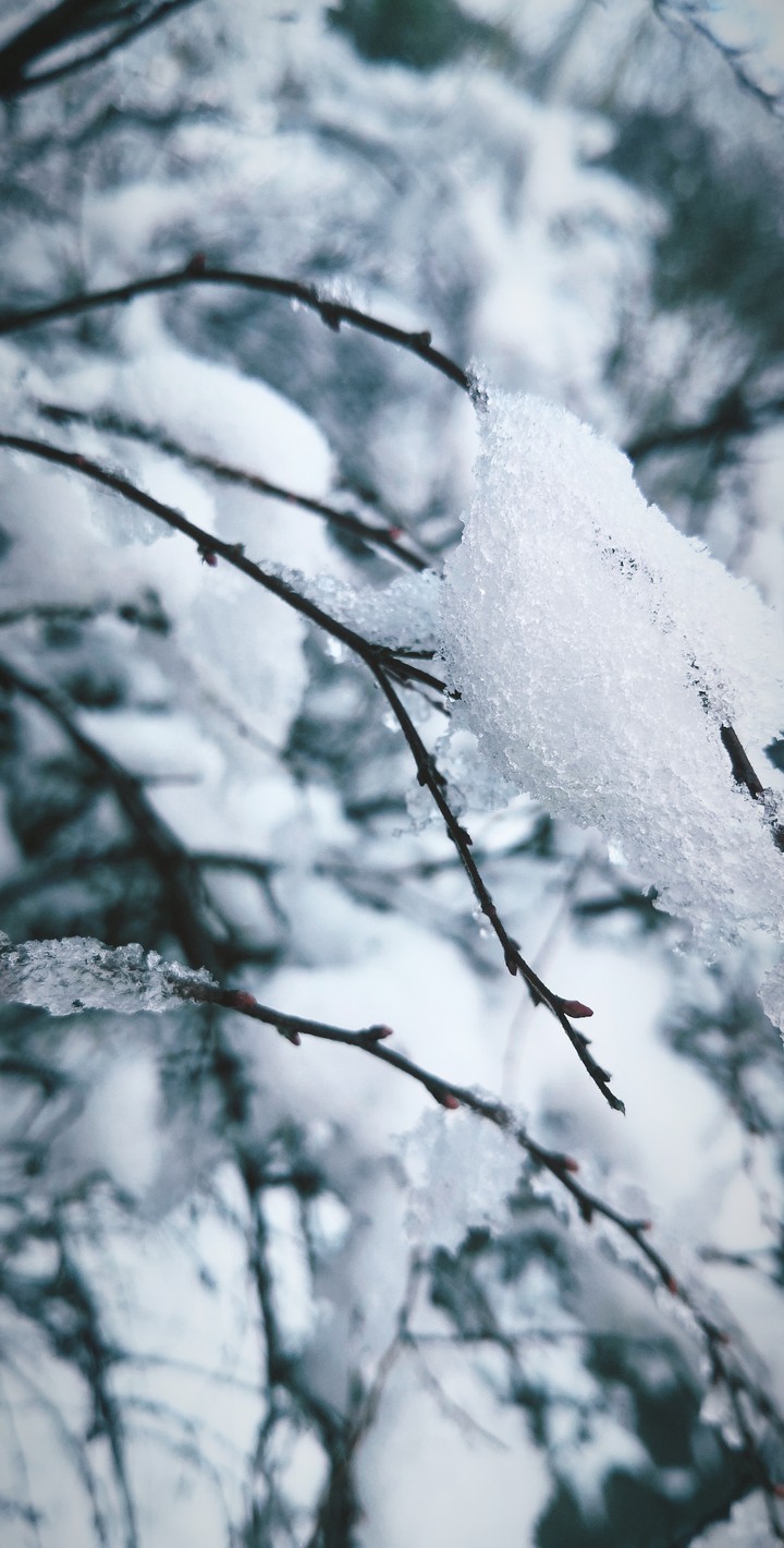 snow