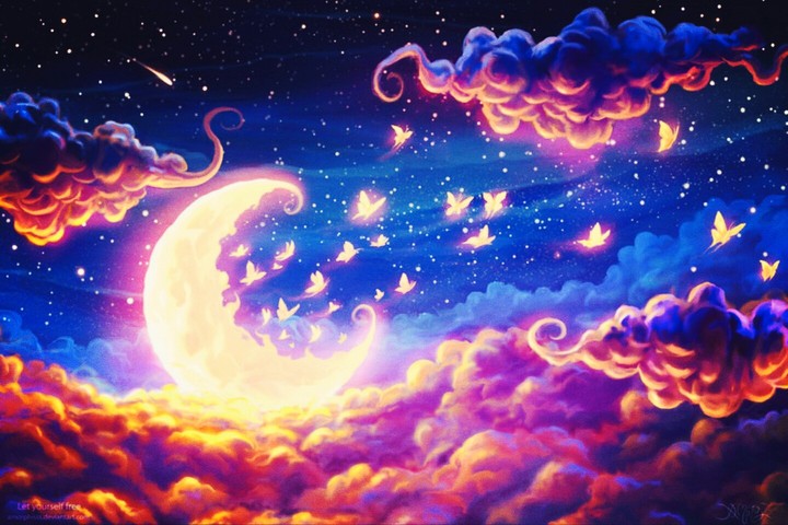 cielo