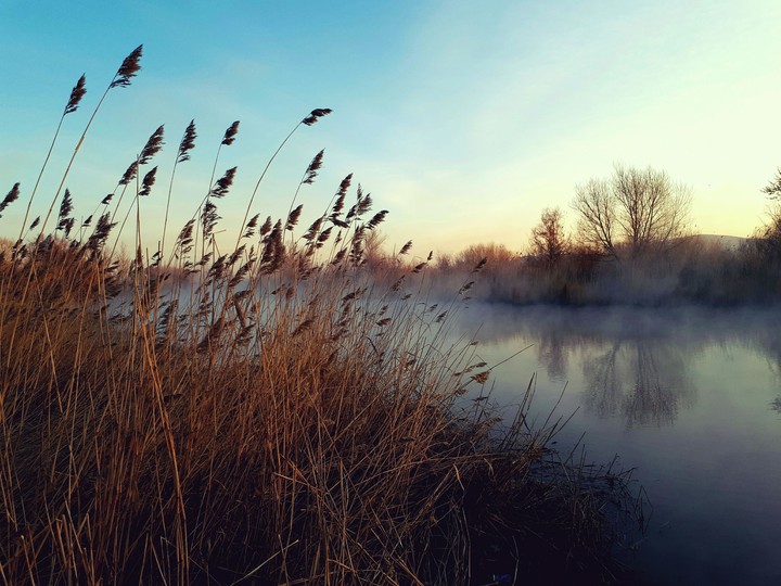 It's wonderful morning