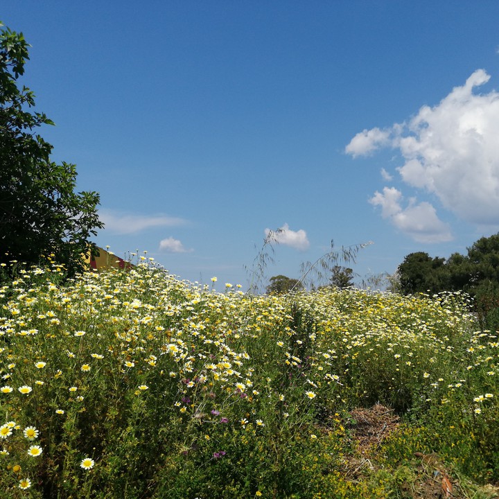 Puglia